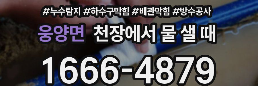 웅양면 천장에서 물 샐 때