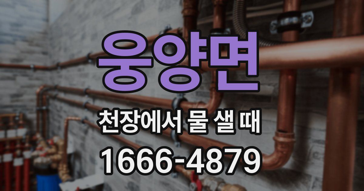 웅양면 천장에서 물 샐 때