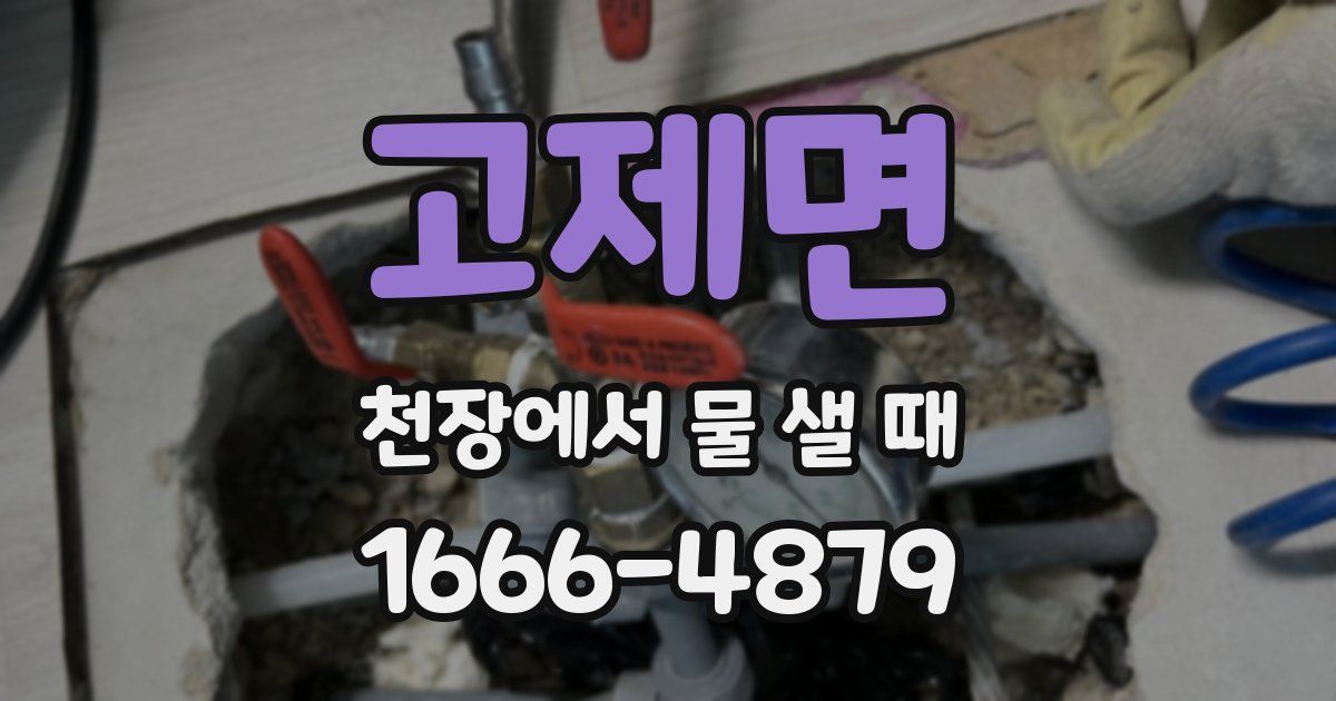 고제면 천장에서 물 샐 때