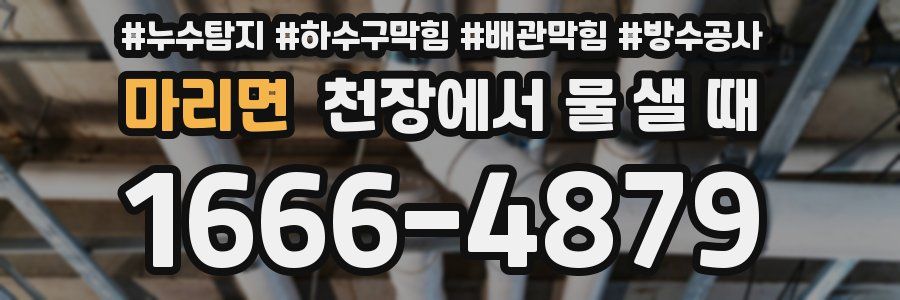 마리면 천장에서 물 샐 때