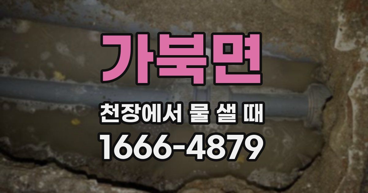 가북면 천장에서 물 샐 때