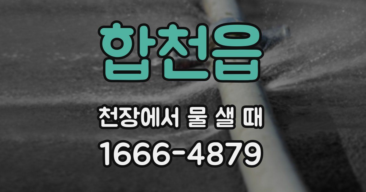 합천읍 천장에서 물 샐 때