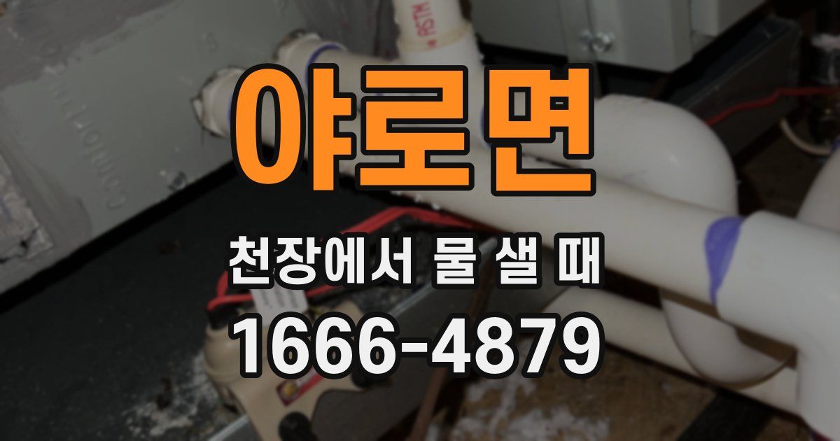 야로면 천장에서 물 샐 때