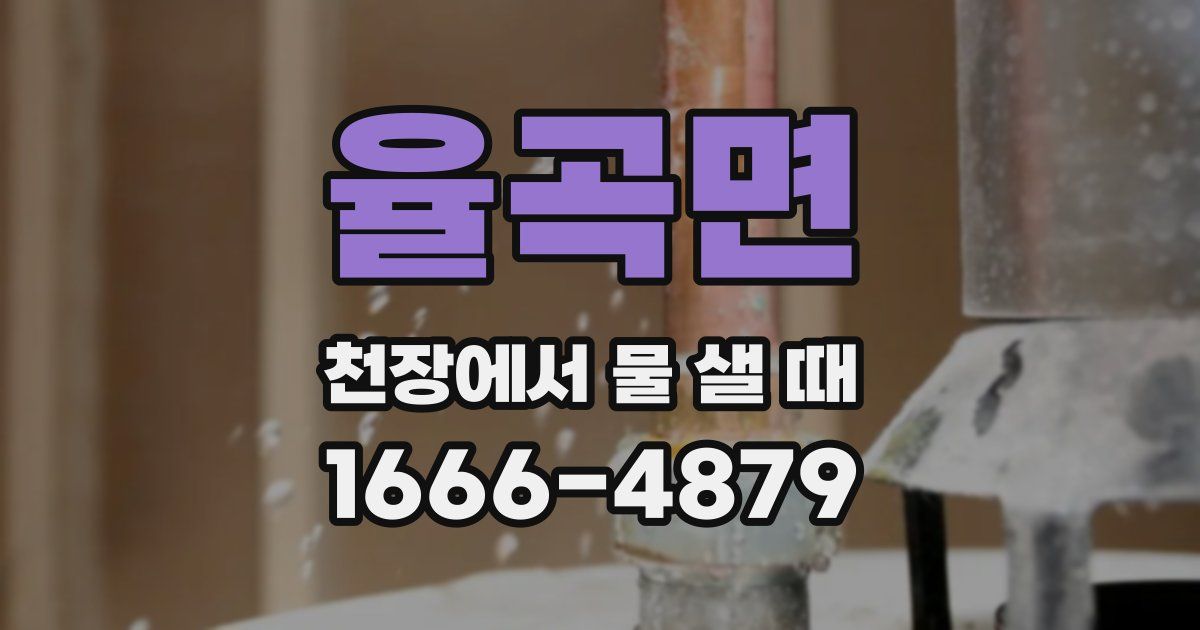 율곡면 천장에서 물 샐 때