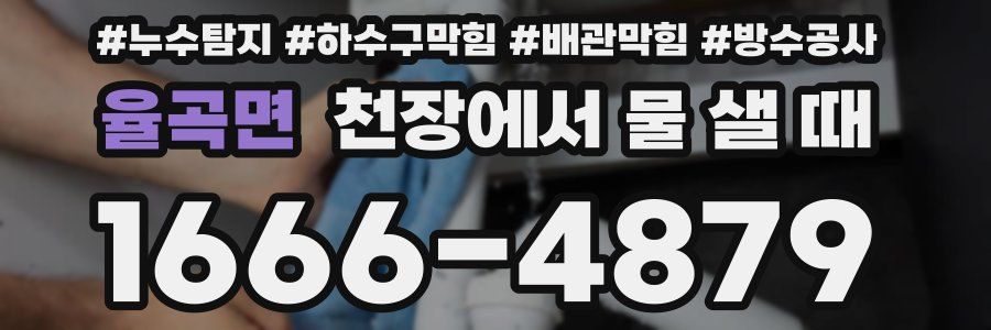 율곡면 천장에서 물 샐 때