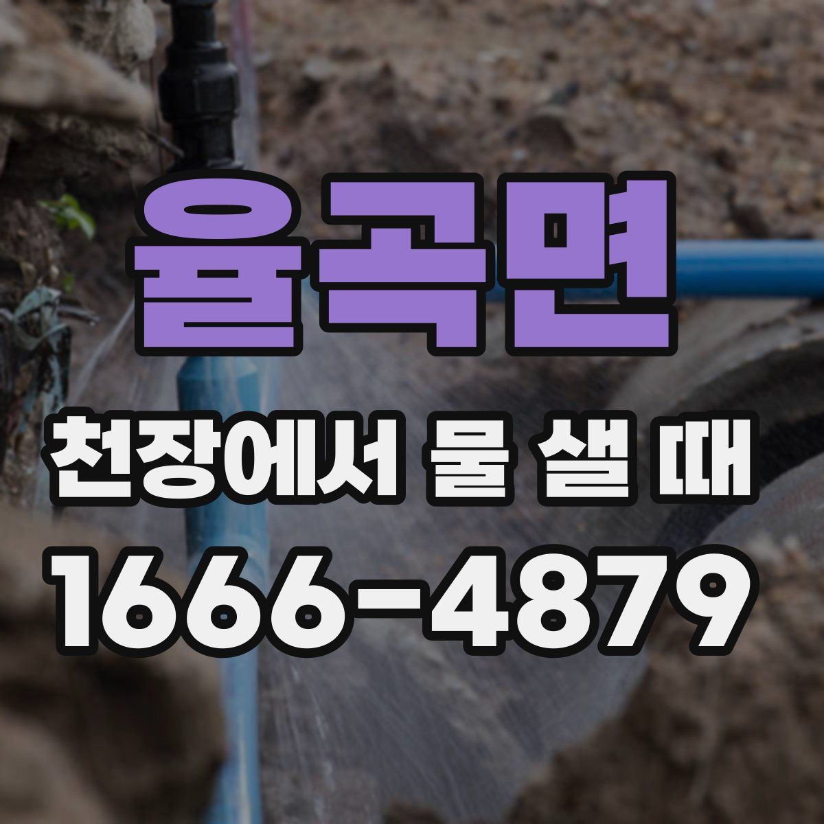 율곡면 천장에서 물 샐 때