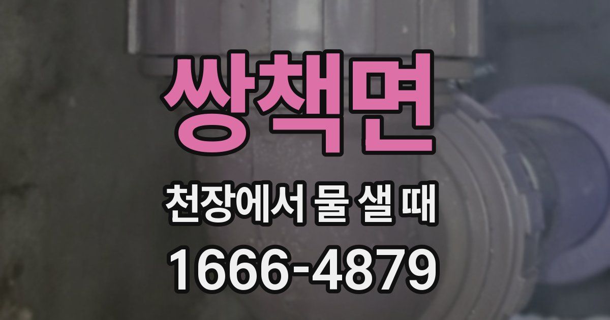 쌍책면 천장에서 물 샐 때