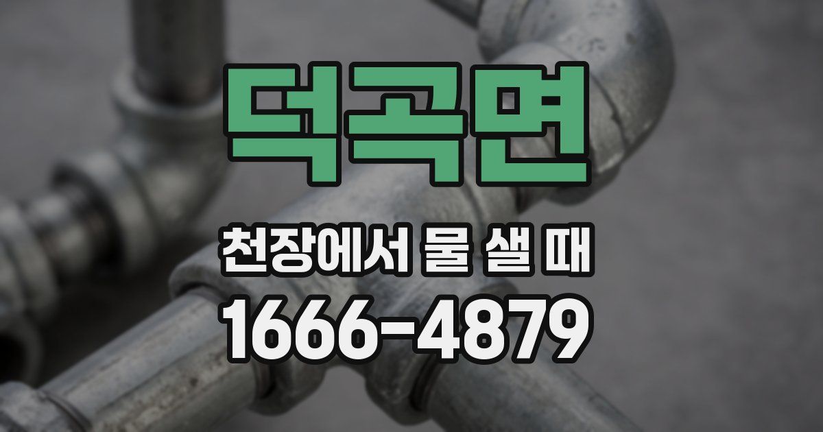 덕곡면 천장에서 물 샐 때