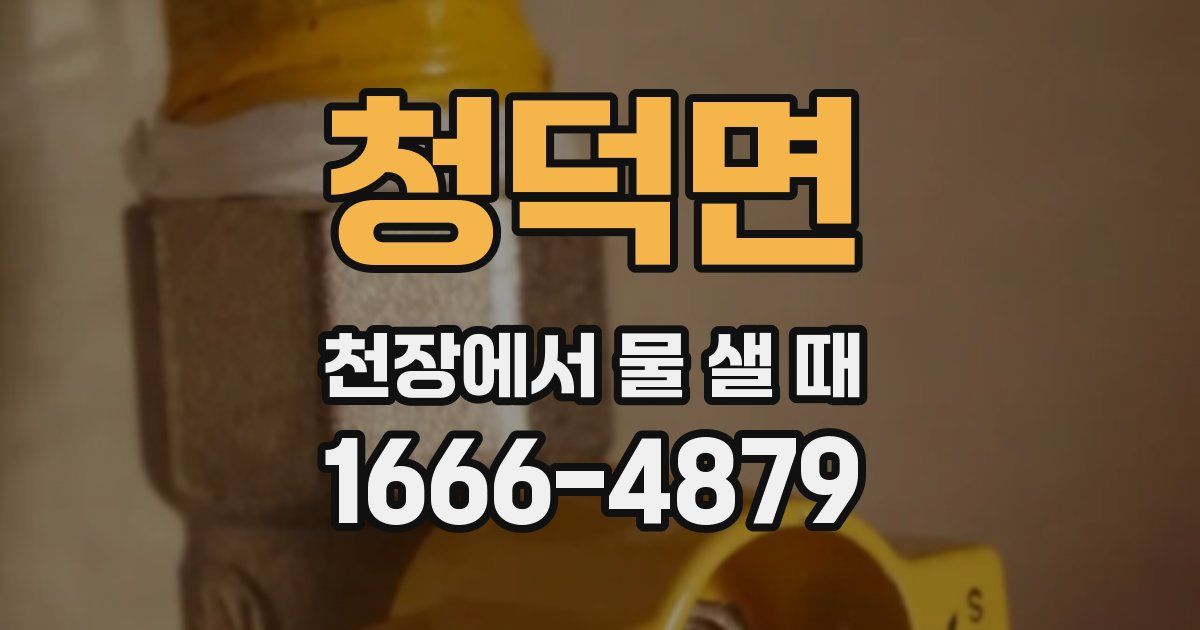 청덕면 천장에서 물 샐 때