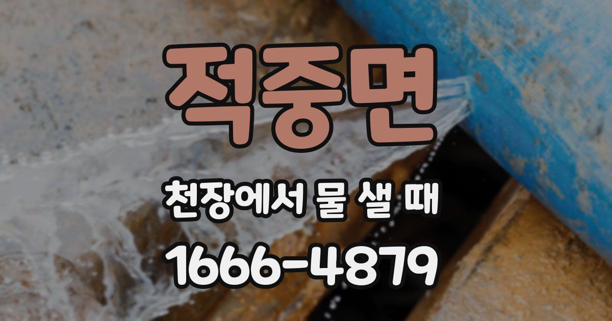 적중면 천장에서 물 샐 때