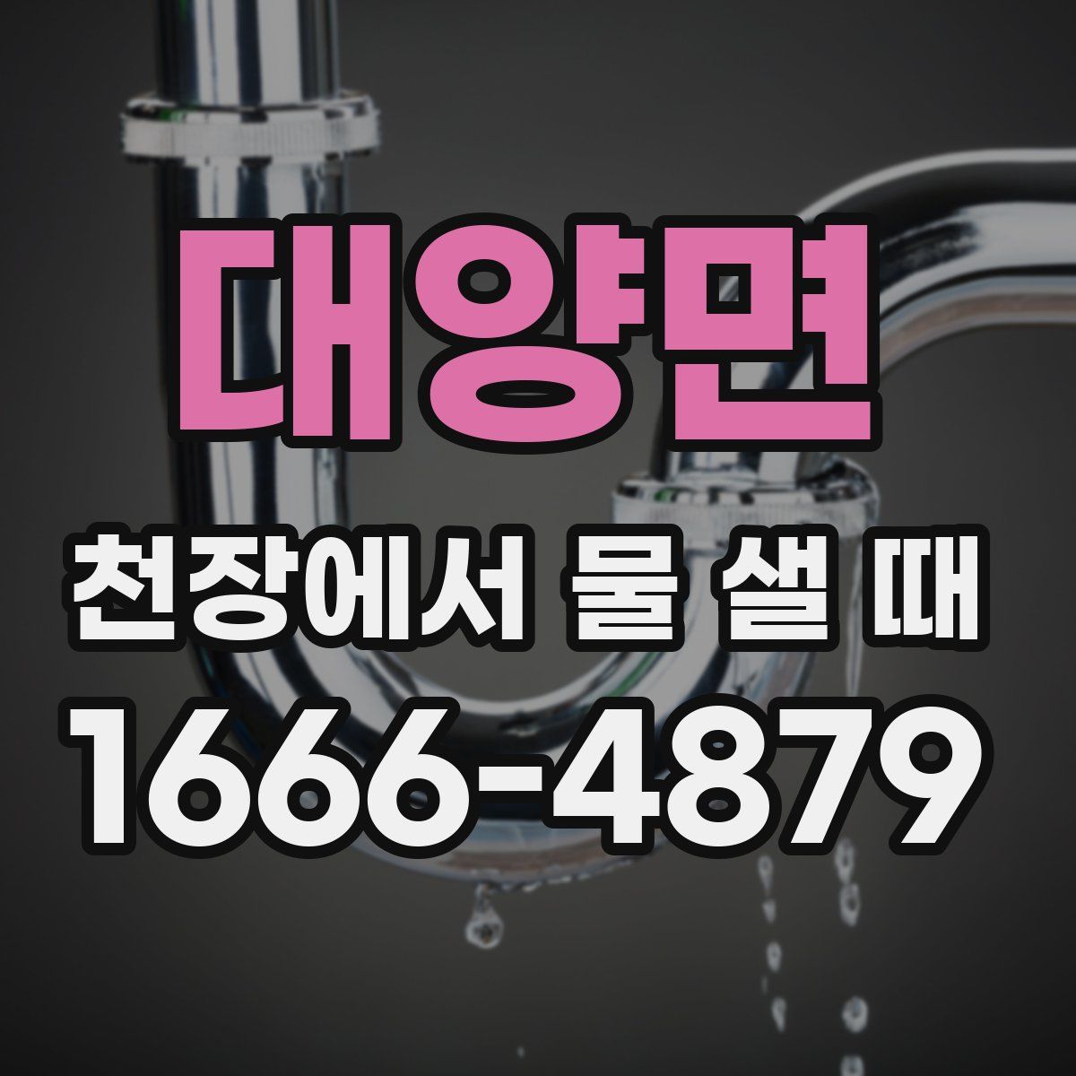 대양면 천장에서 물 샐 때