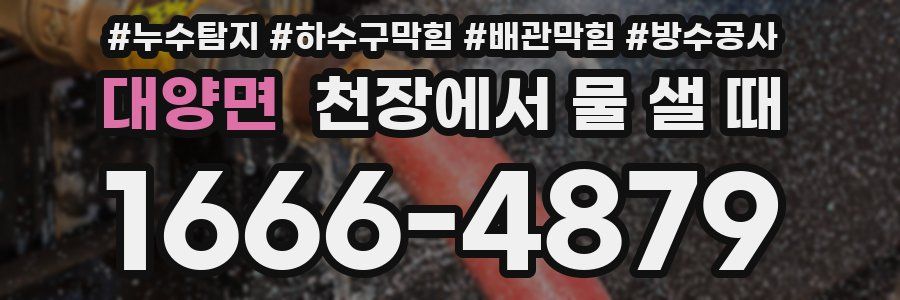 대양면 천장에서 물 샐 때
