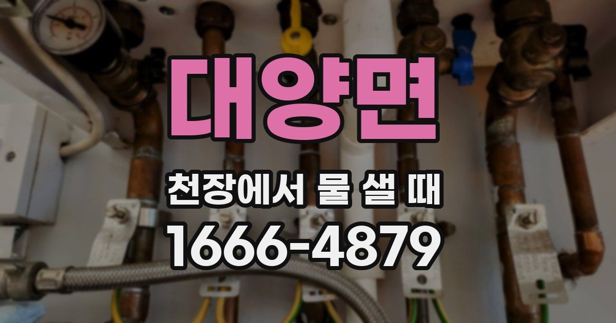 대양면 천장에서 물 샐 때