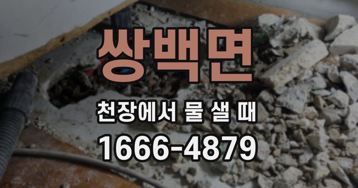 쌍백면 천장에서 물 샐 때