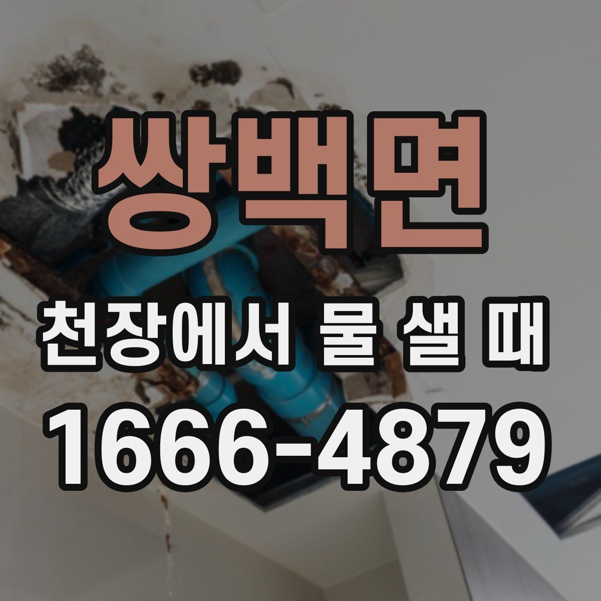 쌍백면 천장에서 물 샐 때