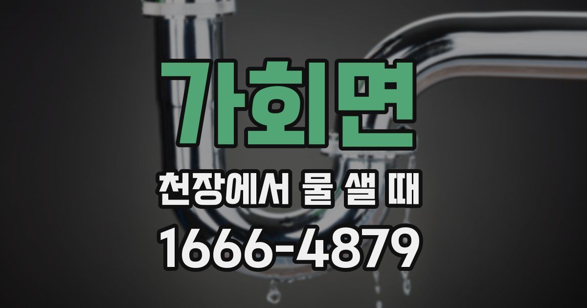 가회면 천장에서 물 샐 때