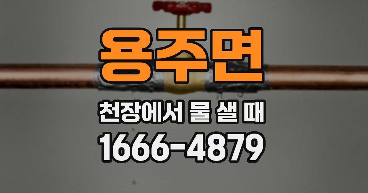 용주면 천장에서 물 샐 때