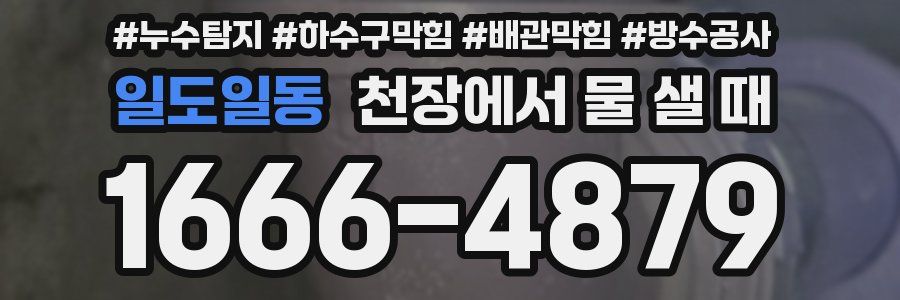 일도일동 천장에서 물 샐 때