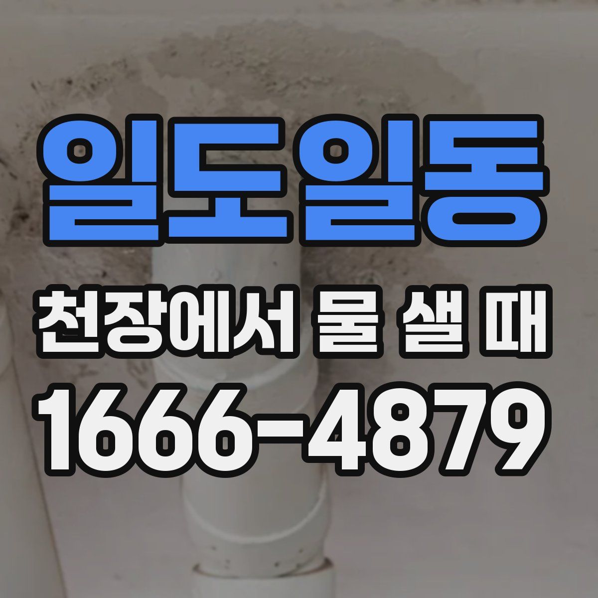 일도일동 천장에서 물 샐 때