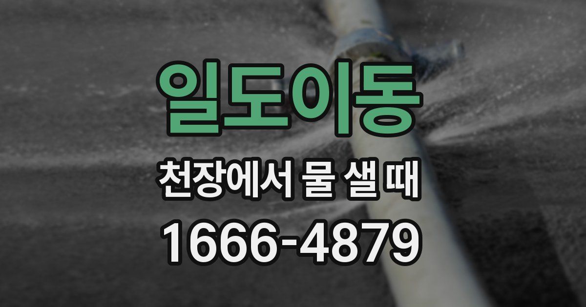 일도이동 천장에서 물 샐 때