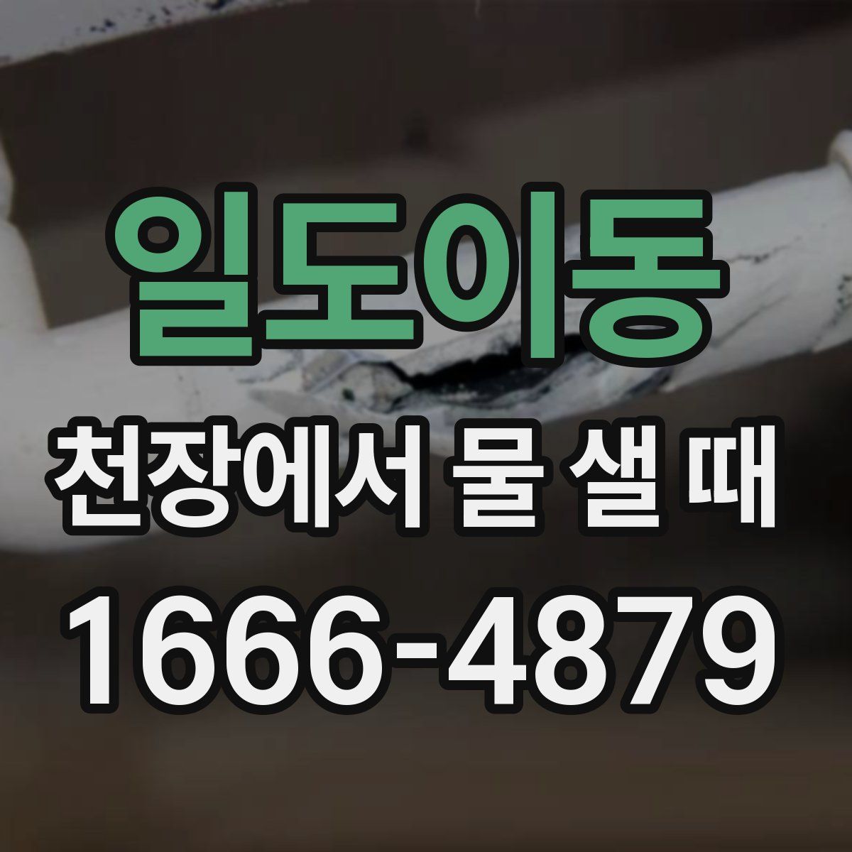 일도이동 천장에서 물 샐 때