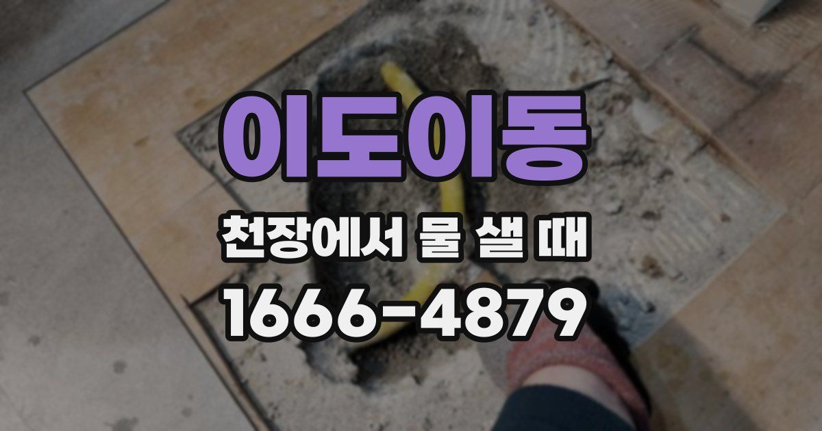 이도이동 천장에서 물 샐 때