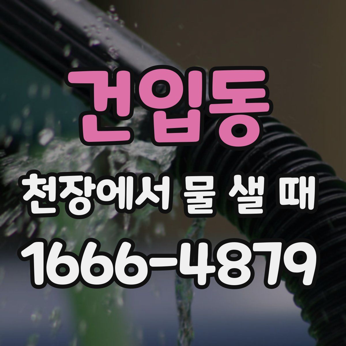 건입동 천장에서 물 샐 때
