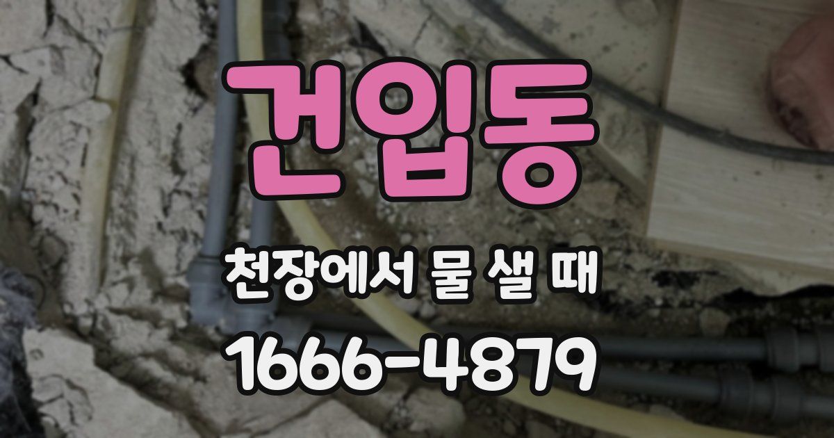 건입동 천장에서 물 샐 때