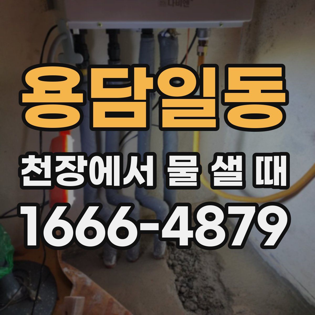 용담일동 천장에서 물 샐 때