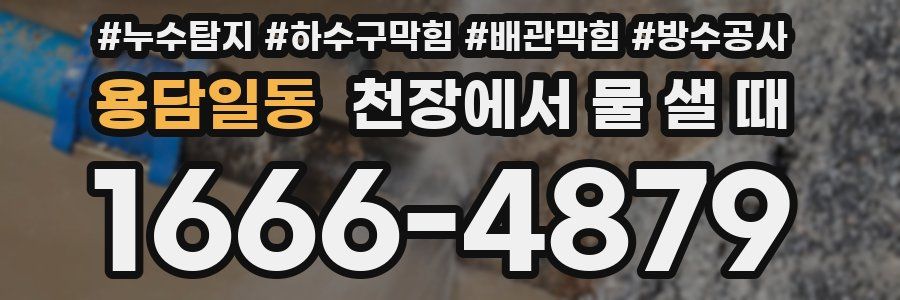 용담일동 천장에서 물 샐 때