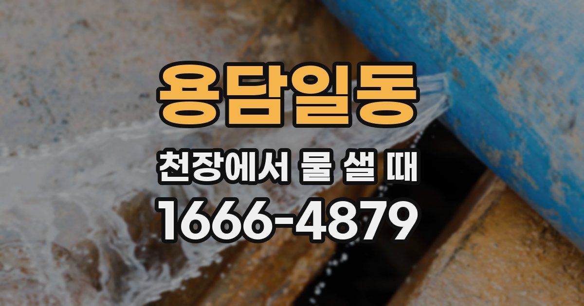 용담일동 천장에서 물 샐 때