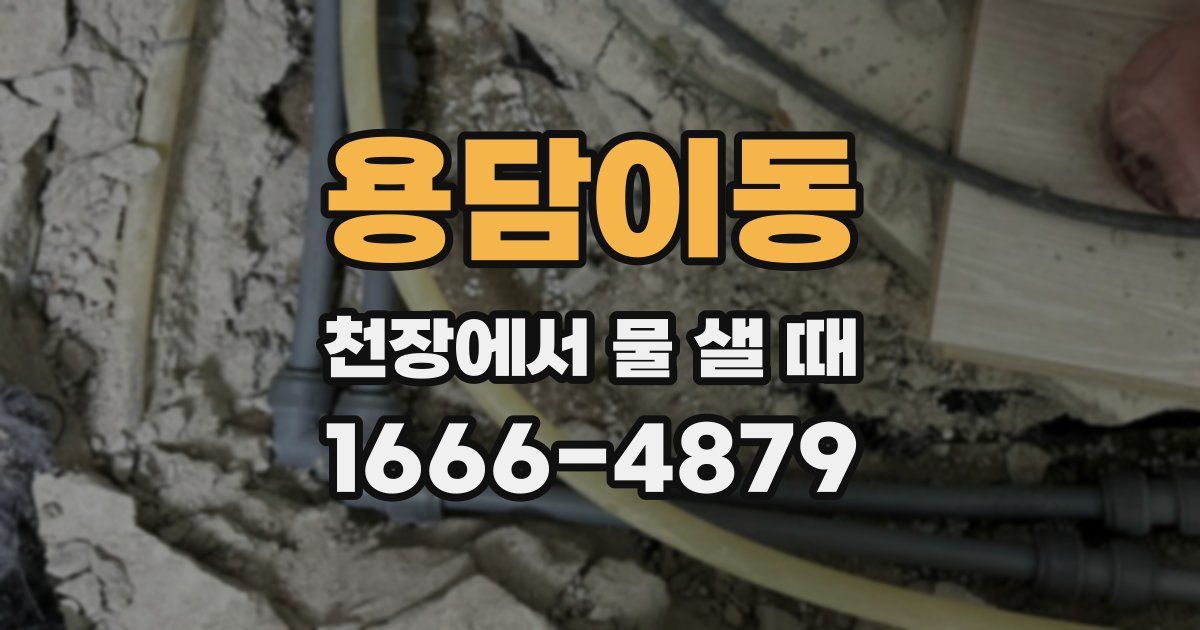 용담이동 천장에서 물 샐 때