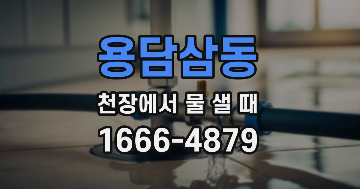 용담삼동 천장에서 물 샐 때