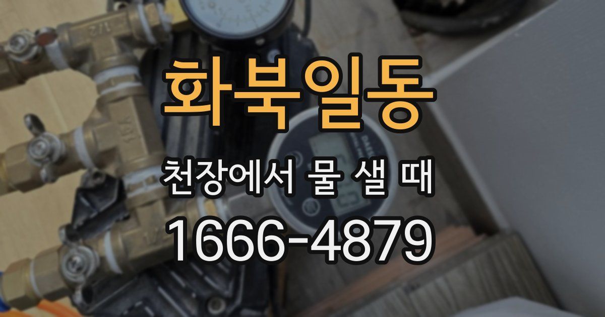 화북일동 천장에서 물 샐 때