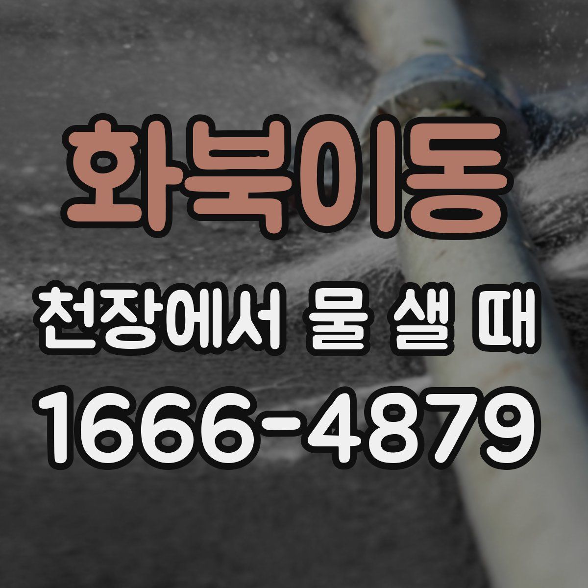 화북이동 천장에서 물 샐 때