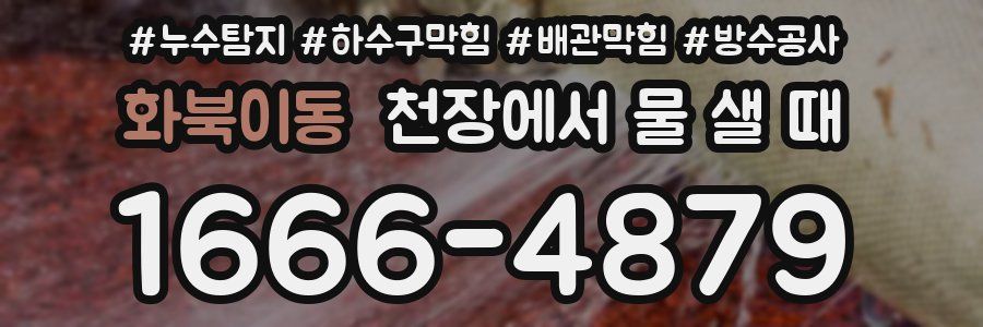 화북이동 천장에서 물 샐 때