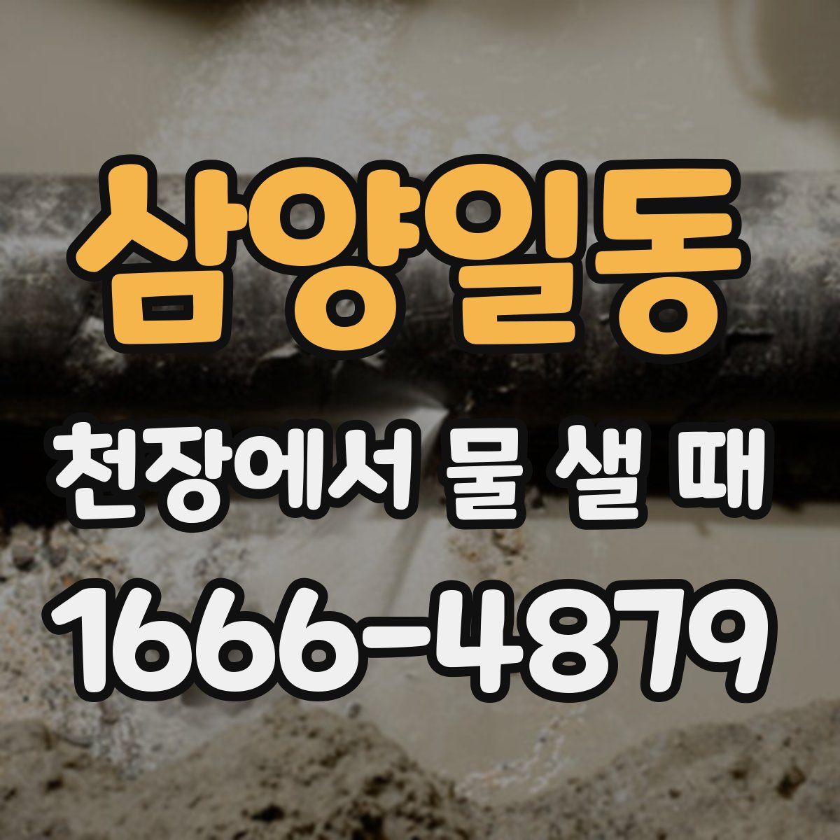 삼양일동 천장에서 물 샐 때