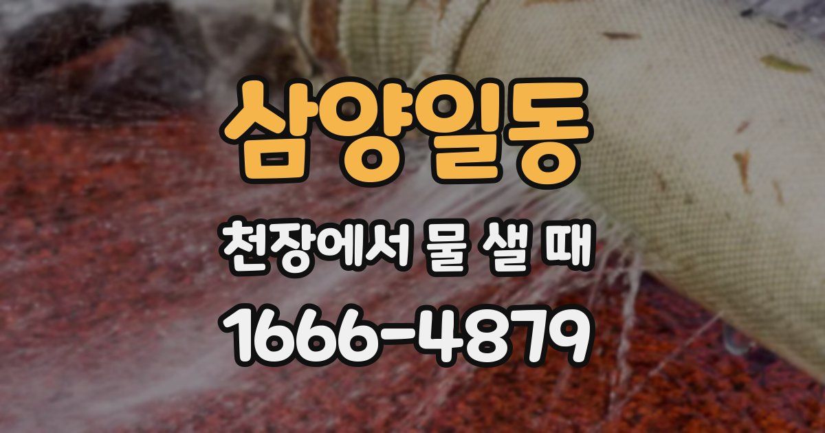 삼양일동 천장에서 물 샐 때