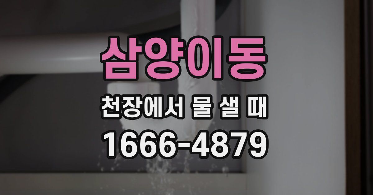 삼양이동 천장에서 물 샐 때