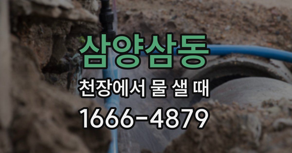 삼양삼동 천장에서 물 샐 때