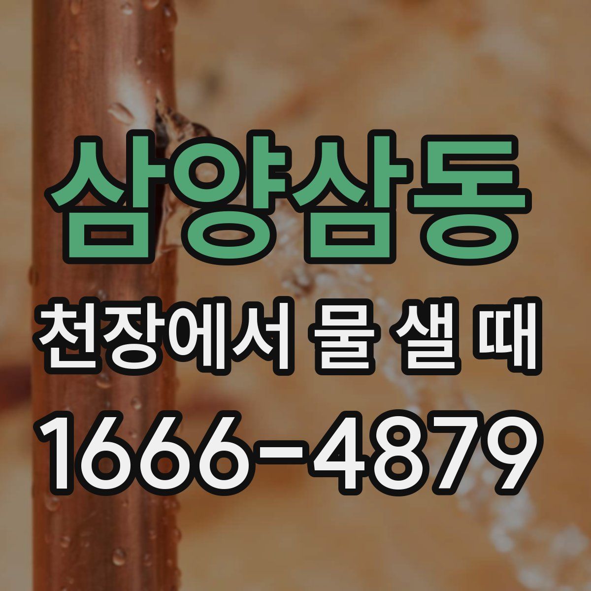 삼양삼동 천장에서 물 샐 때