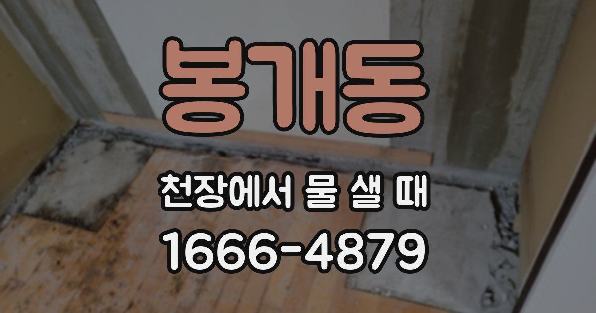 봉개동 천장에서 물 샐 때