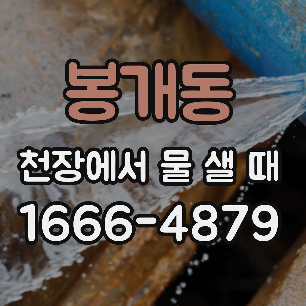 봉개동 천장에서 물 샐 때