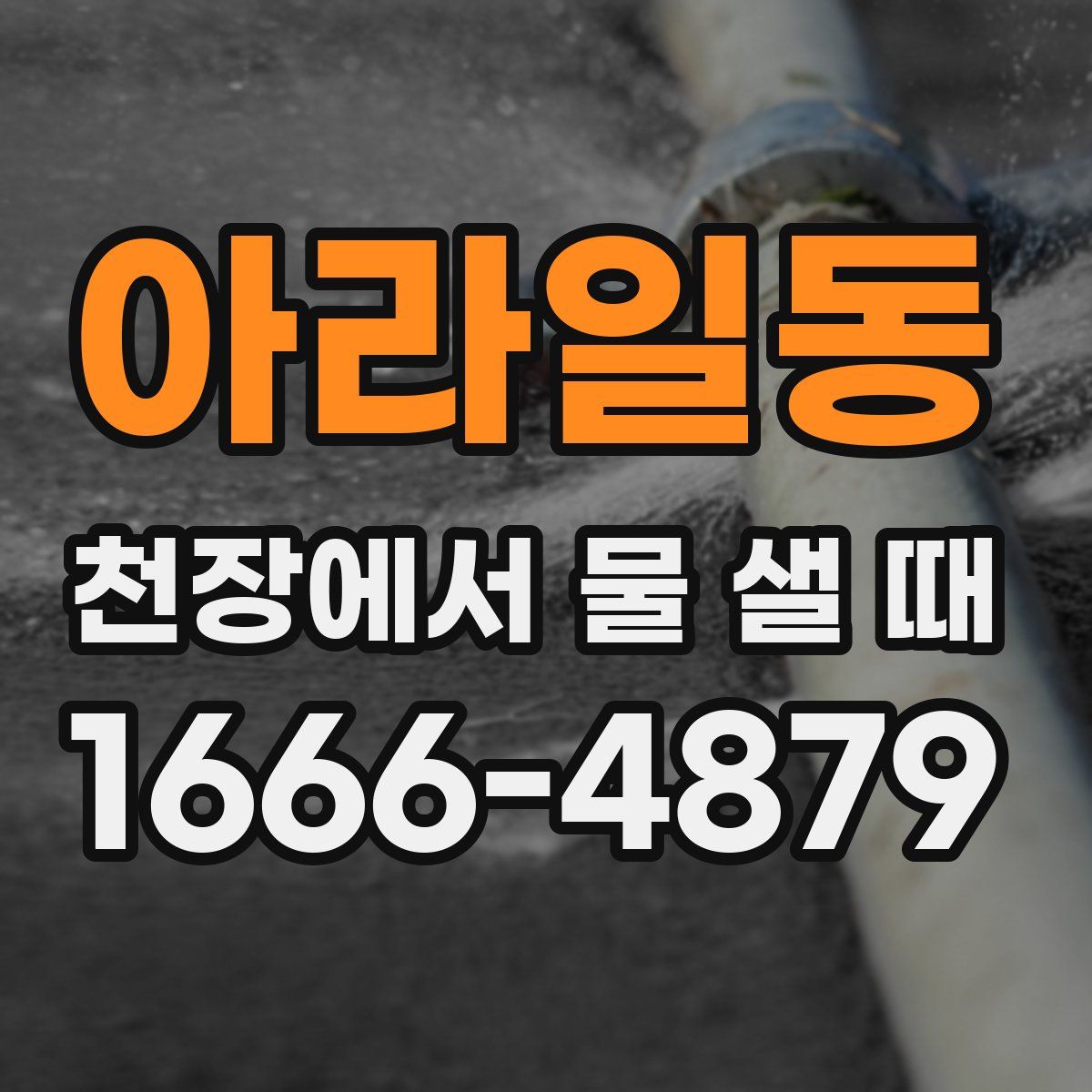 아라일동 천장에서 물 샐 때