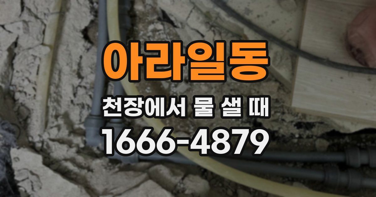 아라일동 천장에서 물 샐 때