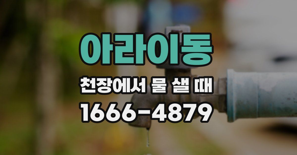 아라이동 천장에서 물 샐 때