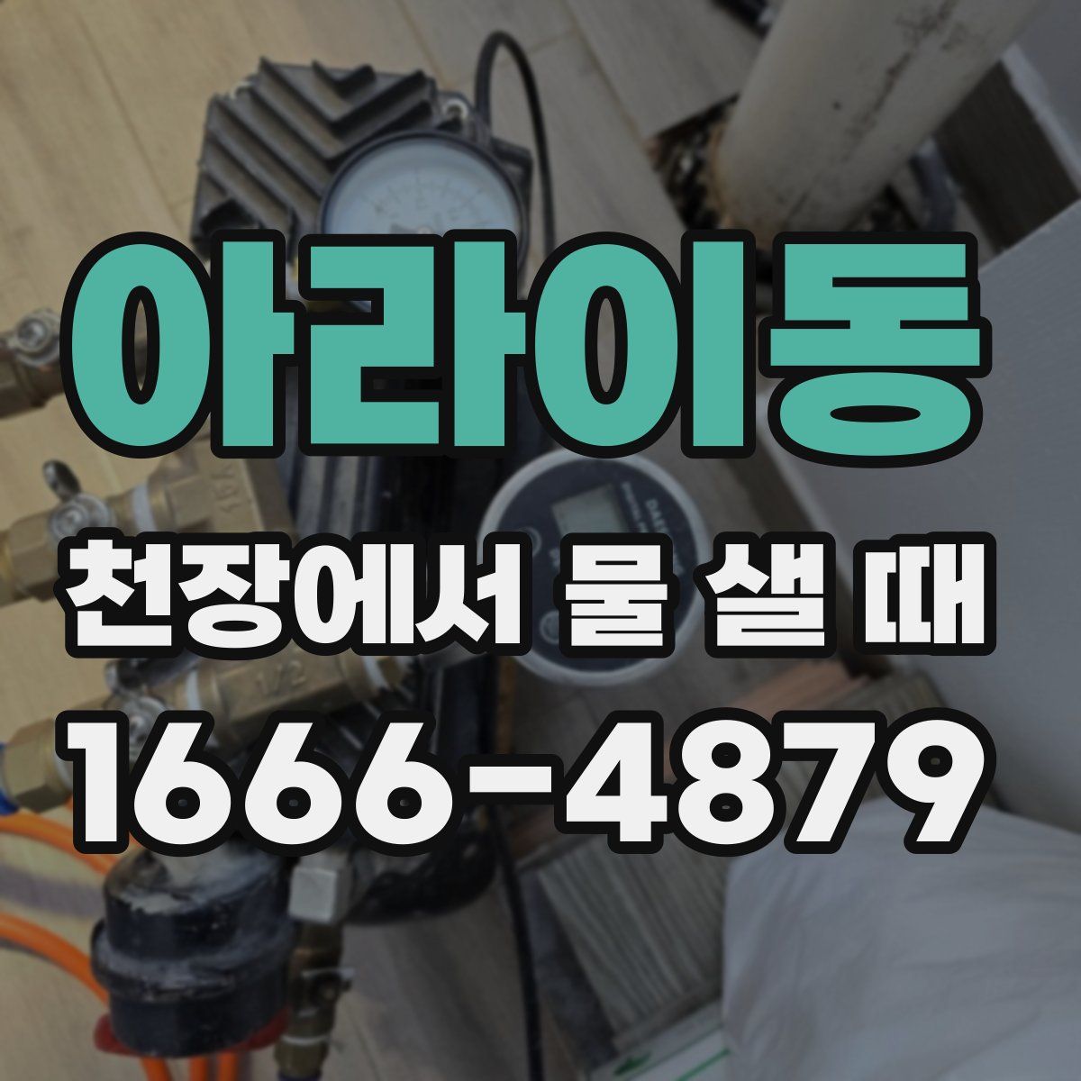아라이동 천장에서 물 샐 때
