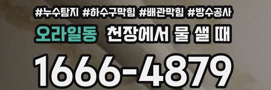 오라일동 천장에서 물 샐 때
