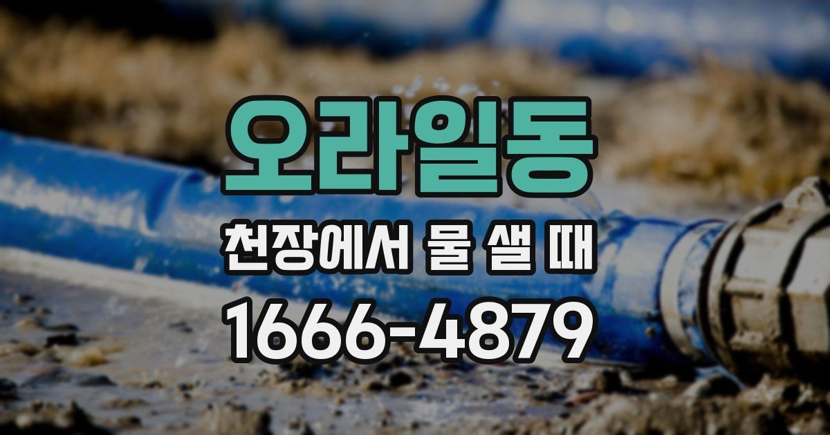 오라일동 천장에서 물 샐 때