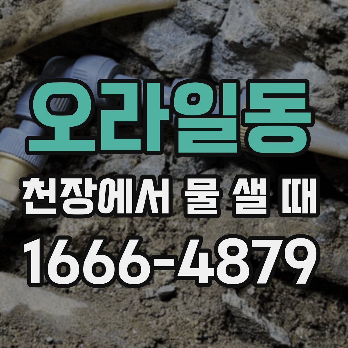 오라일동 천장에서 물 샐 때